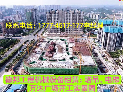 萬(wàn)達(dá)廣場(chǎng)、岳麓青城一二三期   租賃塔吊、電梯實(shí)情